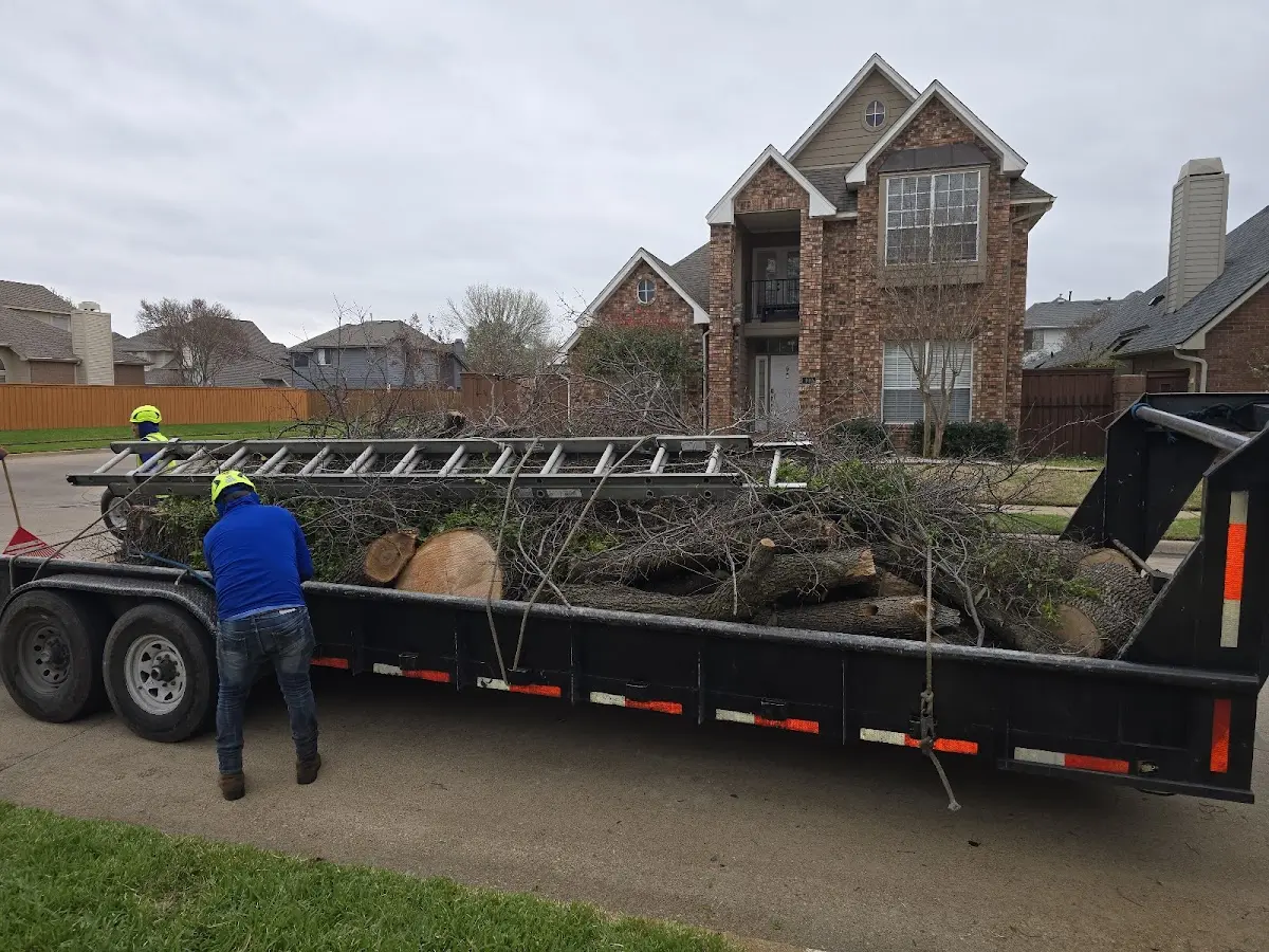 Expert Tree Removal with proper safety equipment in Lake Providence